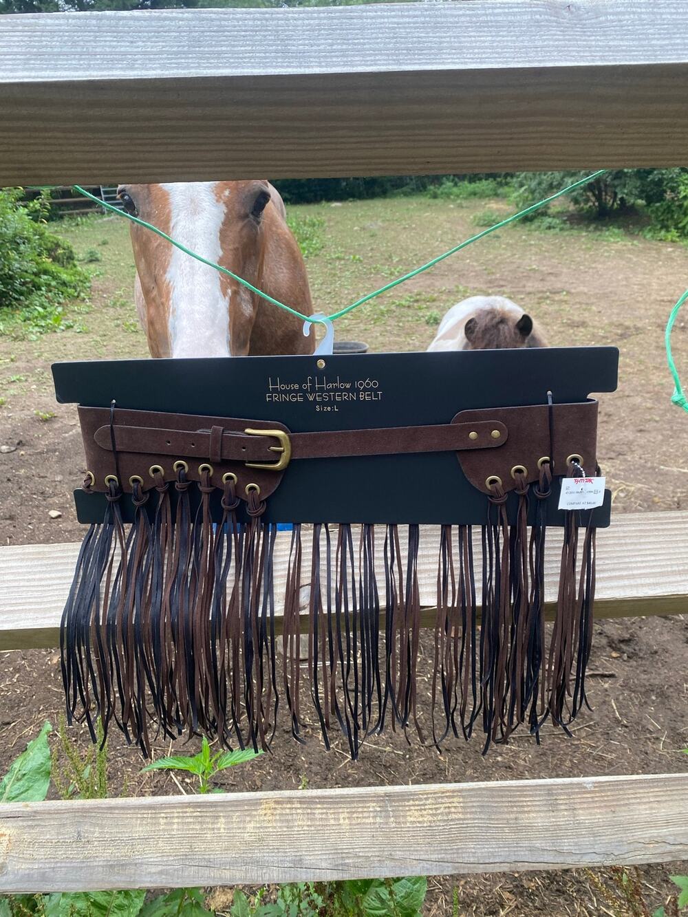 House of Harlow 1960 Brown faux Suede Fringe Belt Studded Boho Festival NWT